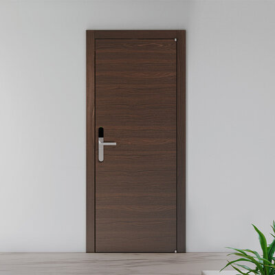 digital handle ambience Brown door with digital handle